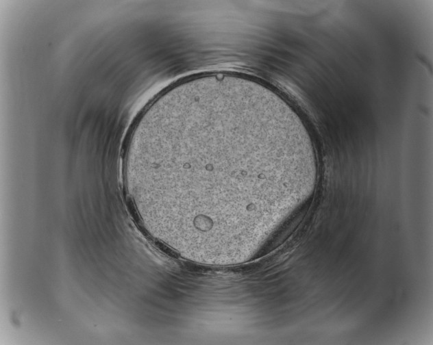 X0000101981324200808081605