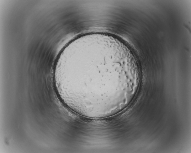 X0000101981325200808081605