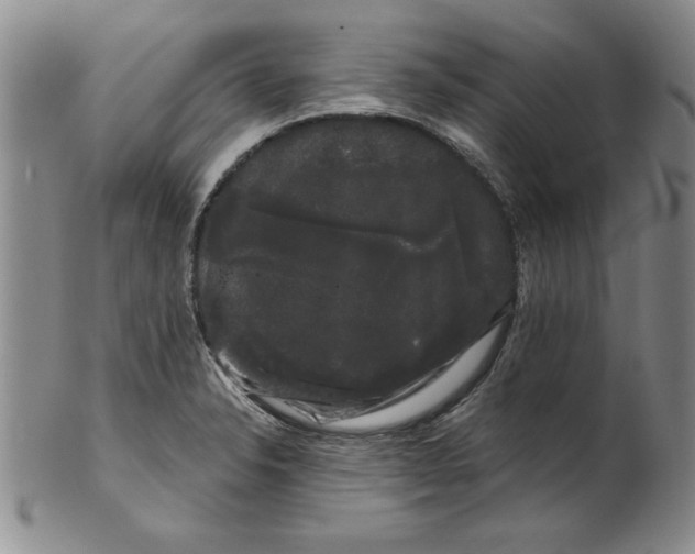 X0000101981326200808081605