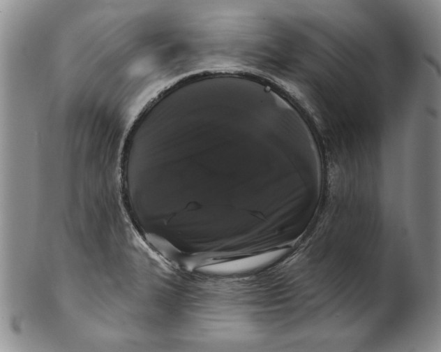 X0000101981327200808081605