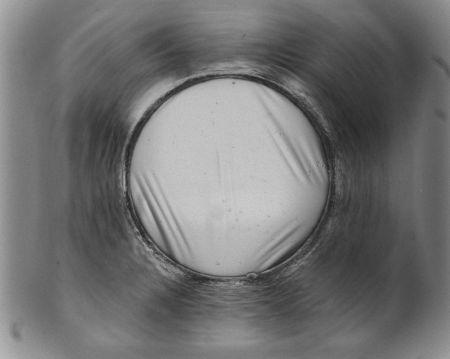 X0000101981328200808081605