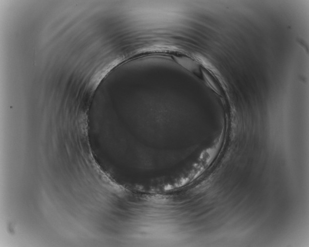 X0000101981329200808081605