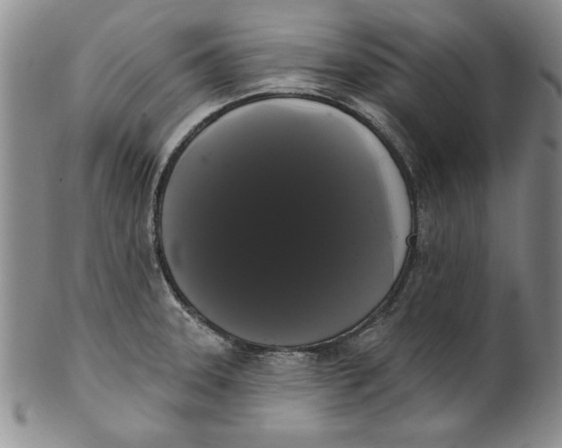 X0000101981331200808081605