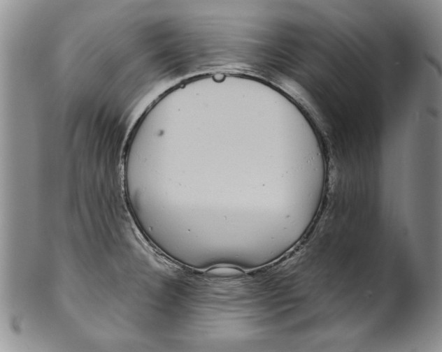 X0000101981332200808081605