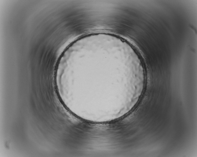 X0000101981333200808081605