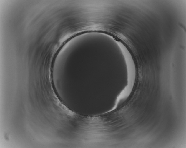 X0000101981334200808081605