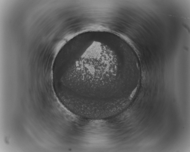 X0000101981335200808081605