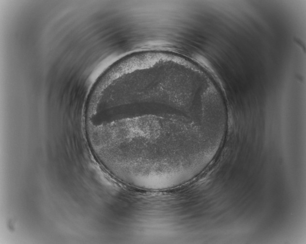 X0000101981336200808081605