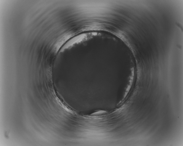 X0000101981337200808081605