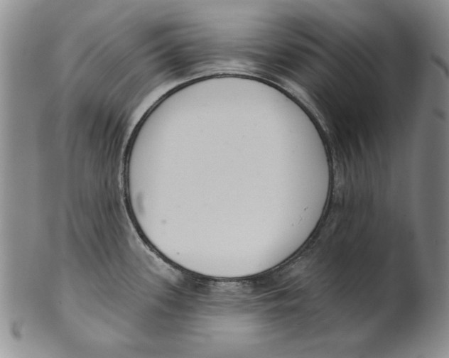 X0000101981339200808081605