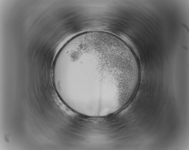 X0000101981340200808081605