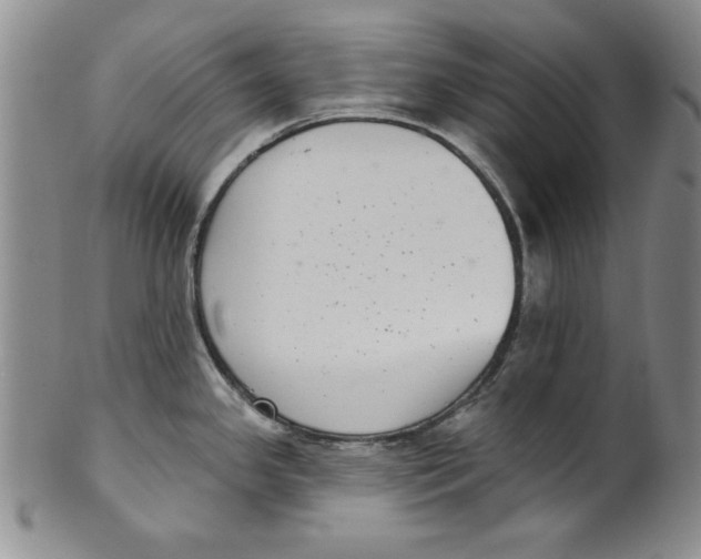 X0000101981341200808081605