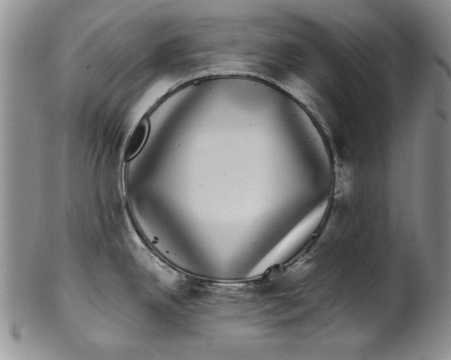 X0000101981342200808081605