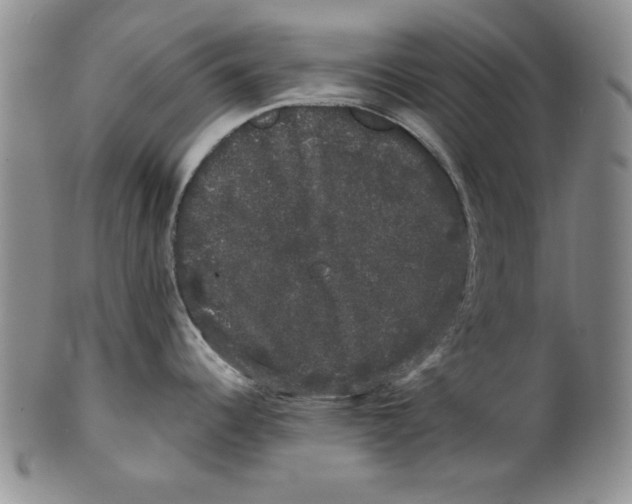 X0000101981344200808081605