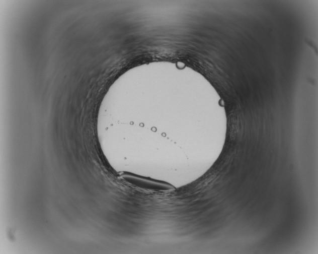 X0000101981345200808081604