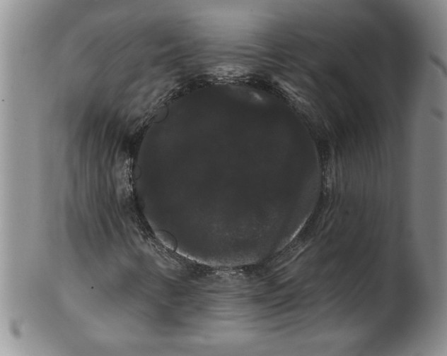 X0000101981346200808081604