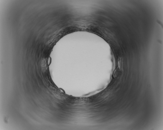 X0000101981347200808081604