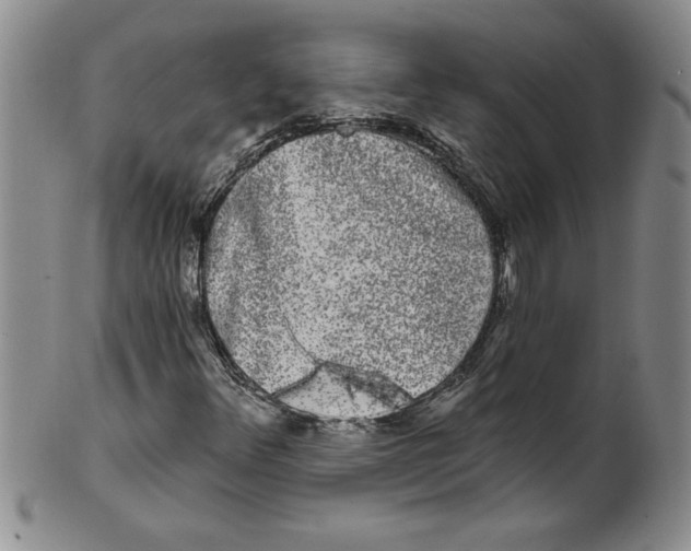 X0000101981348200808081604