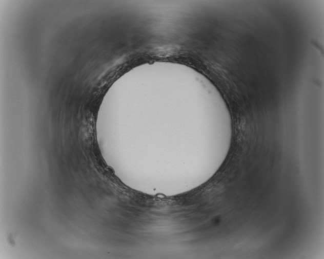 X0000101981349200808081604