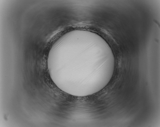 X0000101981350200808081604