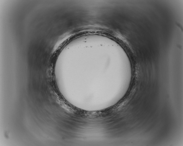 X0000101981352200808081604