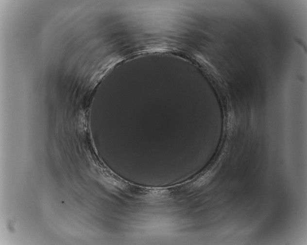 X0000101981353200808081604