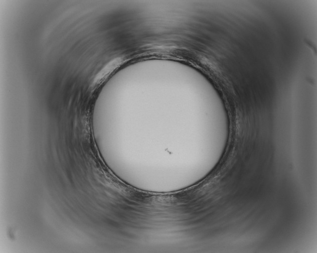 X0000101981354200808081604