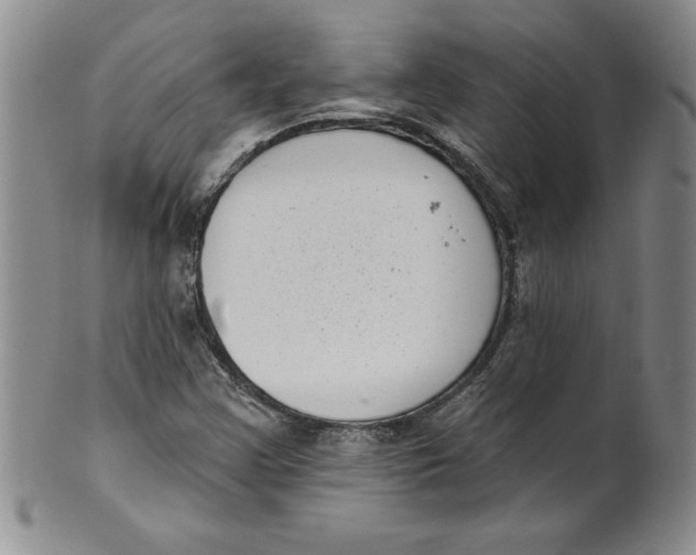 X0000101981355200808081604