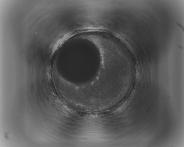 X0000101981357200808081604