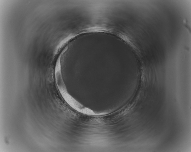 X0000101981358200808081604