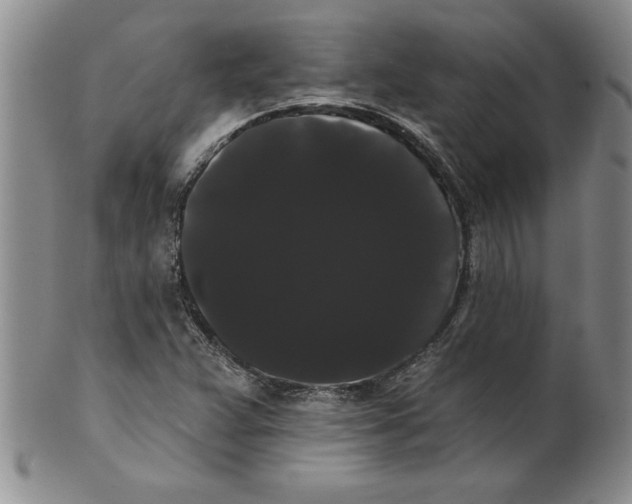 X0000101981359200808081604