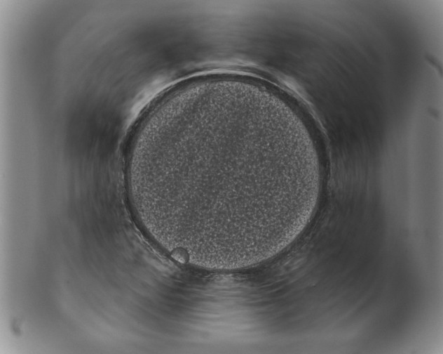 X0000101981360200808081604