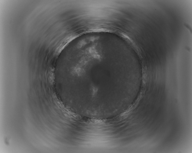 X0000101981361200808081604