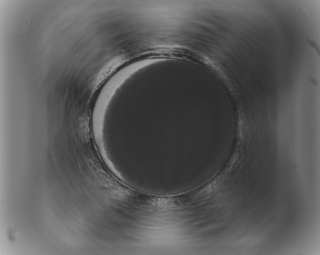 X0000101981362200808081604