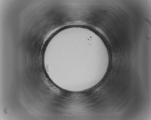 X0000101981364200808081604