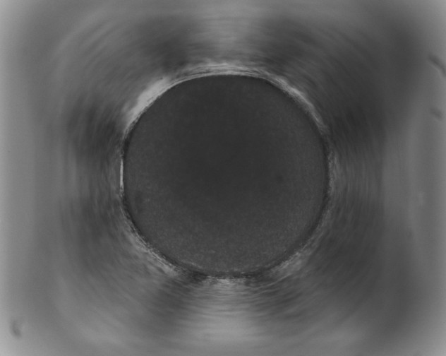 X0000101981365200808081604