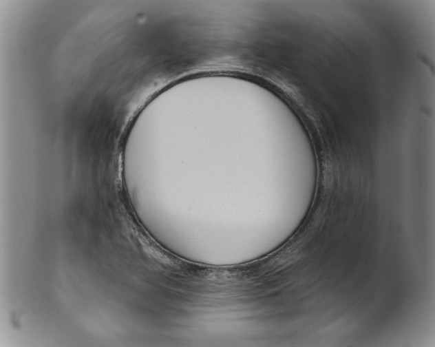 X0000101981366200808081604