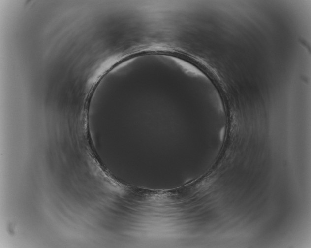 X0000101981367200808081604