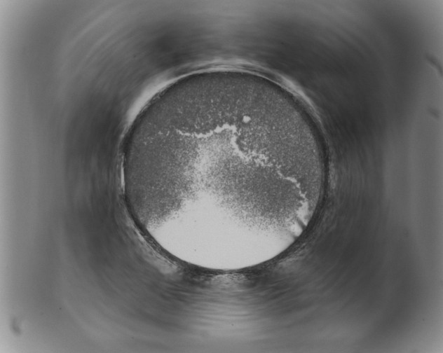 X0000101981368200808081604