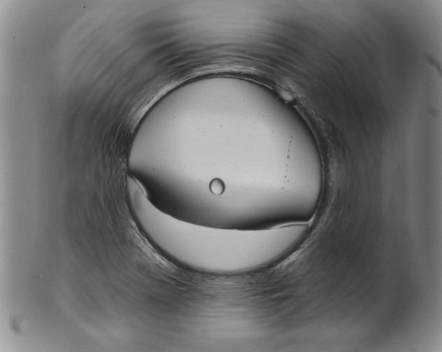 X0000101981369200808081604