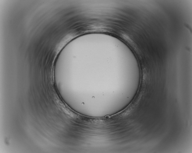 X0000101981370200808081604