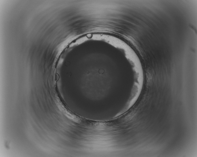 X0000101981371200808081604