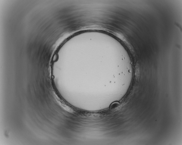 X0000101981372200808081604