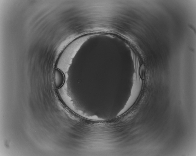 X0000101981373200808081604