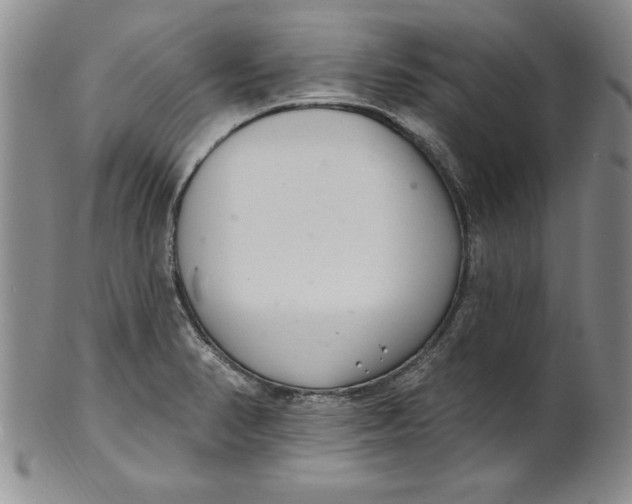 X0000101981374200808081604