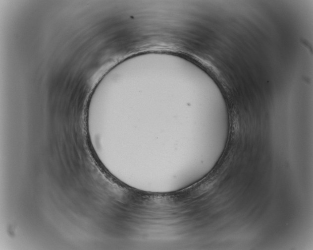 X0000101981375200808081604