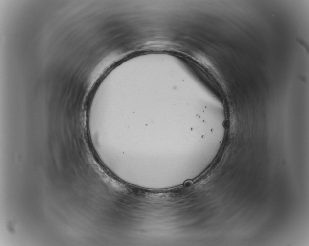 X0000101981376200808081604