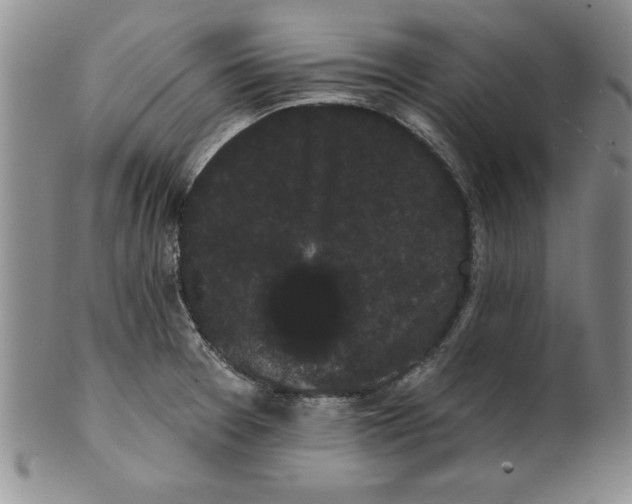 X0000101981377200808081604