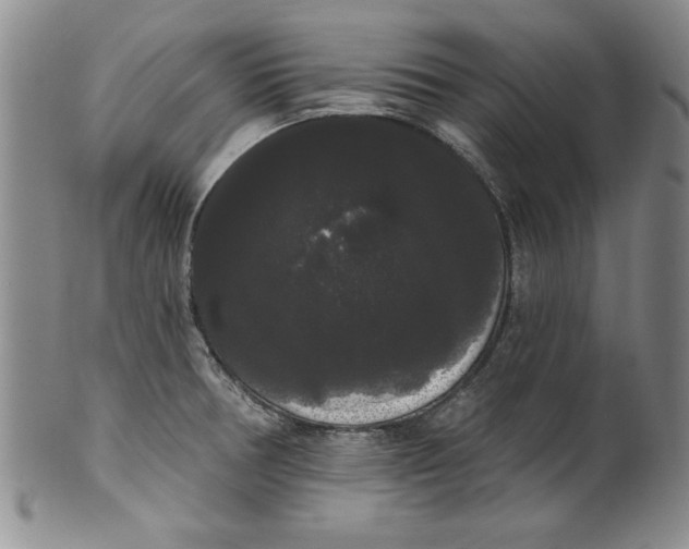 X0000101981378200808081604