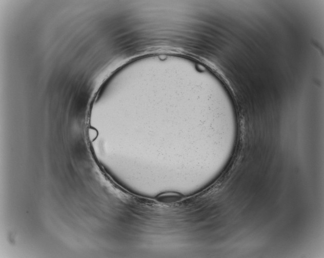 X0000101981379200808081604